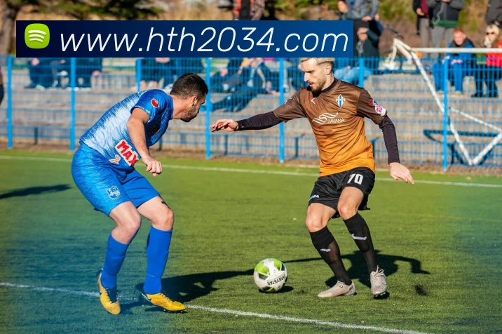 华体会平台生态图